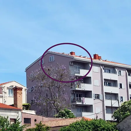 Apartamento Nives Pula